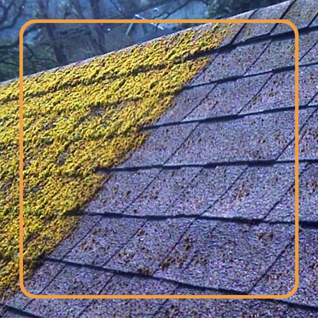 Roof Cleaning