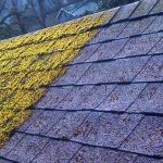 roof cleaning before and after power washing by Sparkles