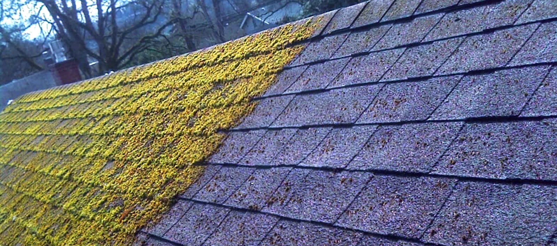 Roof Cleaning