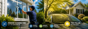 WHEN TO GET WINDOW CLEANING AND TREE POLLEN CHART